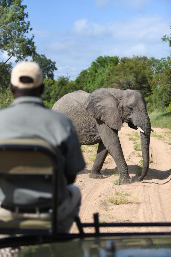 Shumbalala Game Lodge Khu bảo tồn Khu bảo tồn Thornybush Game Reserve Ngoại thất bức ảnh