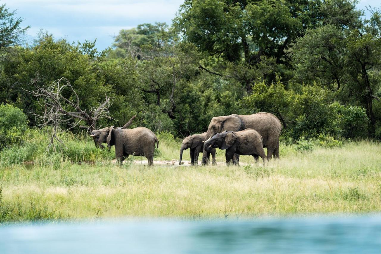 Shumbalala Game Lodge Khu bảo tồn Khu bảo tồn Thornybush Game Reserve Ngoại thất bức ảnh